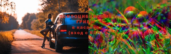 мескалин Армянск