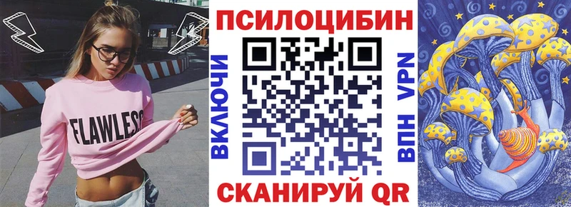 купить наркотики цена  Стародуб  Галлюциногенные грибы ЛСД 