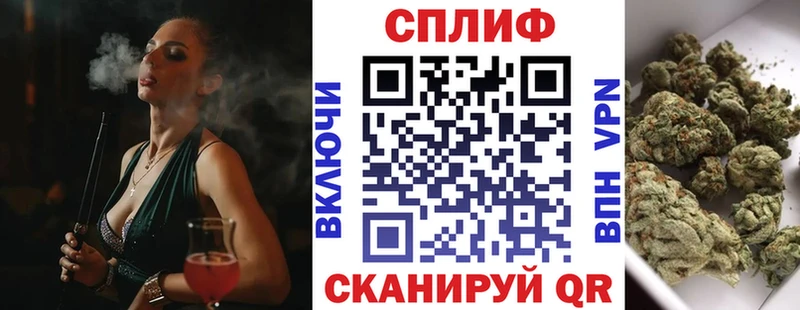 Шишки марихуана White Widow  Стародуб 